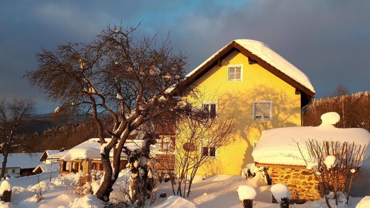 Ferienwohnung Sigi'S Waldhaus Нойшёнау Экстерьер фото